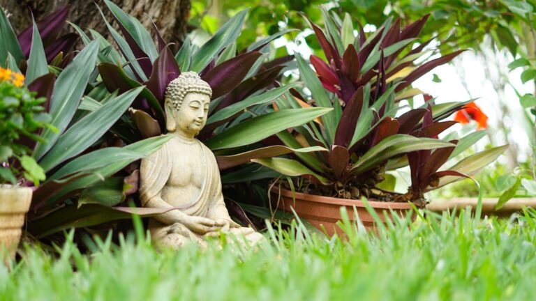 terapia integrativa, terapia holística, reiki