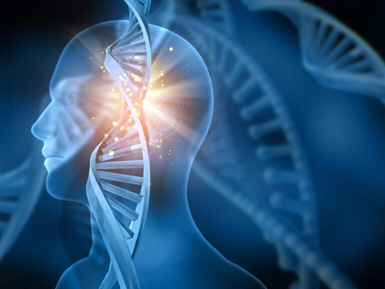 desprogramacao neuro biologica